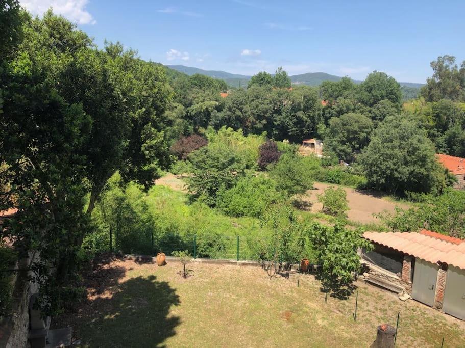 Au Coeur De Ville Avec Terrasse Céret Exterior foto